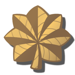 MAJ
